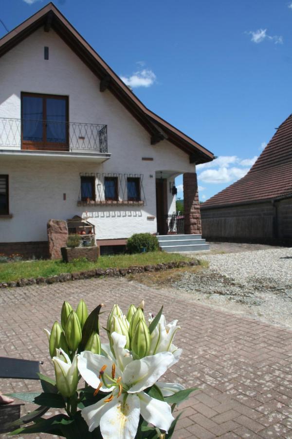 La Maison De Tania Neuve-Eglise Bagian luar foto